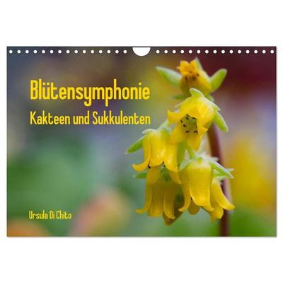 Blütensymphonie - Kakteen und Sukkulenten (Wandkalender 2027 DIN A4 quer), CALVENDO Monatskalender