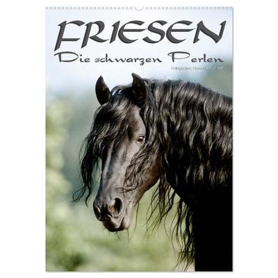 Friesen - die schwarzen Perlen (Wandkalender 2026 DIN A2 hoch), CALVENDO Monatskalender