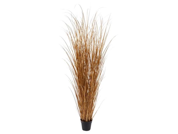Kunstpflanzen Schilfgras Gold H: 180 cm Edg