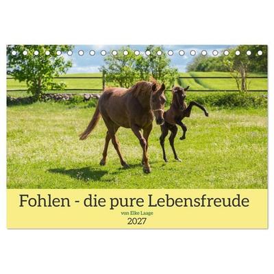 Fohlen - die pure Lebensfreude (Tischkalender 2027 DIN A5 quer), CALVENDO Monatskalender