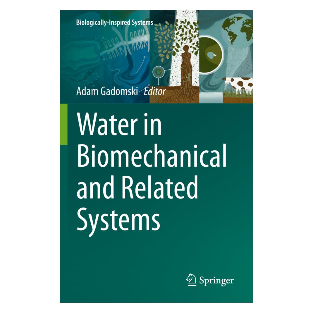 Springer Water in Biomechanical and Related Systems (Englisch, Softcover, Adam Gadomski) (56835482)