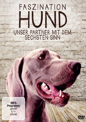 Faszination Hund - Unser Partner mit dem sechsten Sinn - Preis vom 09.10.2026 07:28:09 h
