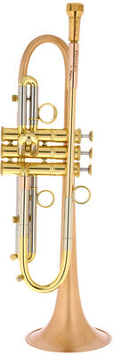 Taylor Trumpets Piranha Bb-Trumpet BF