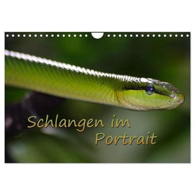 Schlangen im Portrait (Wandkalender 2027 DIN A4 quer), CALVENDO Monatskalender