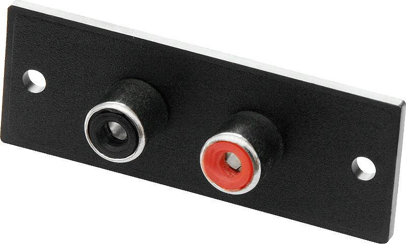 2x RCA-montageaansluiting