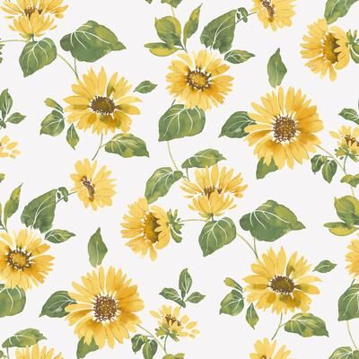 Galerie Wallcoverings Just Kitchens Sunflower Trail Vinyl on Non-woven Matte Wallpaper Roll