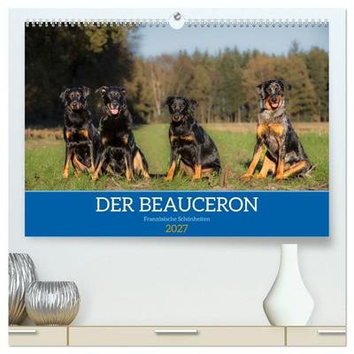 Der Beauceron (hochwertiger Premium Wandkalender 2027 DIN A2 quer), Kunstdruck in Hochglanz