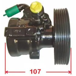 Hydraulikpumpe Lenkung LIZARTE 04.07.0300-2 für Citroën