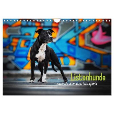 Listenhunde - mehr als nur eine Kategorie (Wandkalender 2026 DIN A4 quer), CALVENDO Monatskalender