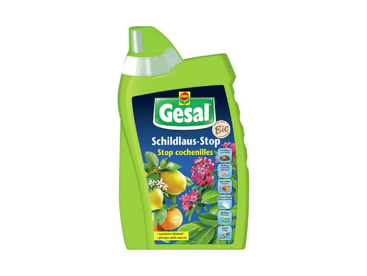 Gesal Schildlaus-Stop