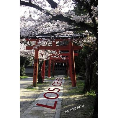Los Gehts, Gebundene Ausgabe von Kurogane Kurogane, BoD - Books on Demand, 978-3-86812-228-2