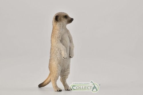 Collecta Surikata die staat