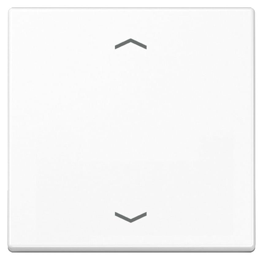 Jung schommel symbool AWS A 590 P WW model A590PWW