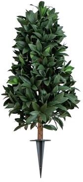 Nearly Natural 3-ft UV Resistant Artificial Laurel Plant with Integrated Stake
