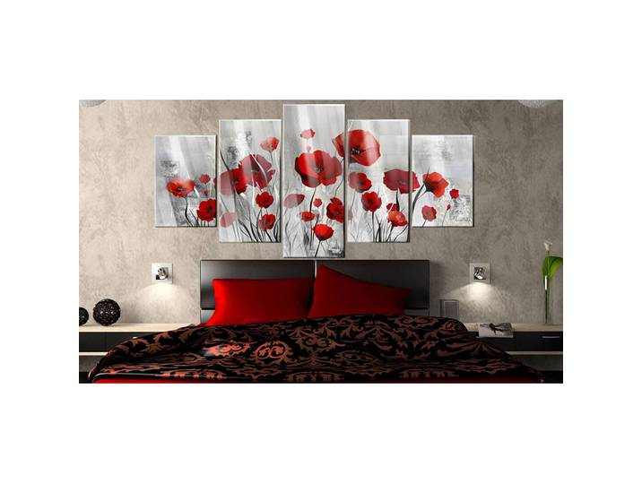 Tableau déco plexiglas Scarlet Cloud Tableau déco plexiglas Rouge/Gris clair 100 x 50cm