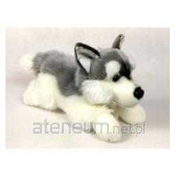 Sunday Bikes Husky Hund 30cm 02882 (30 cm) (186267)