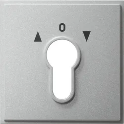 Gira Zentralpl. Schlüssel. alu 066465