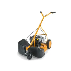 AS Motor 21 4T m. Briggs & Stratton Motor