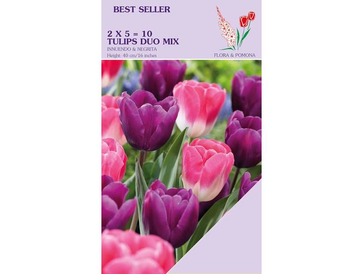 Tulp Innuendo & Negrita mix 10 bollen