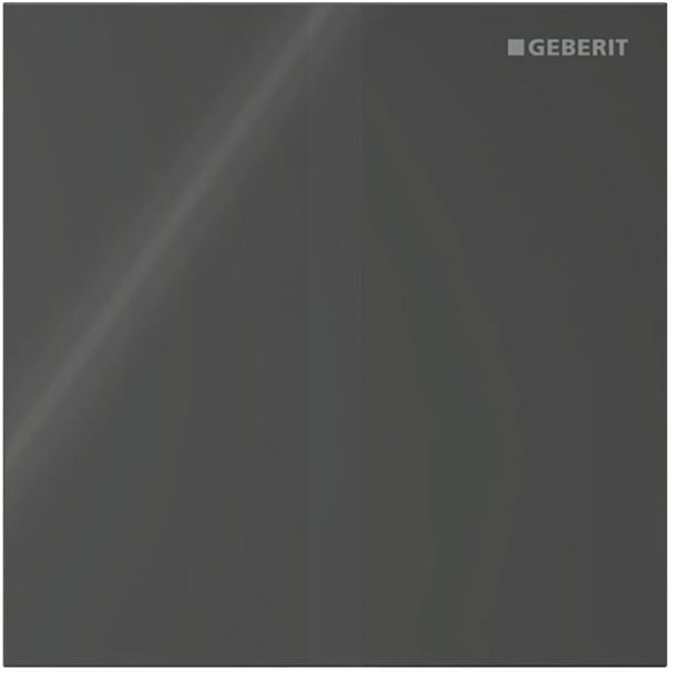 Geberit Typ 40 Abdeckplatte 246121SJ1 für Urinalsteuerung IR, Square, schwarz