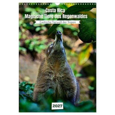 Costa Rica - Magische Tiere des Regenwaldes (Wandkalender 2027 DIN A3 hoch), CALVENDO Monatskalender