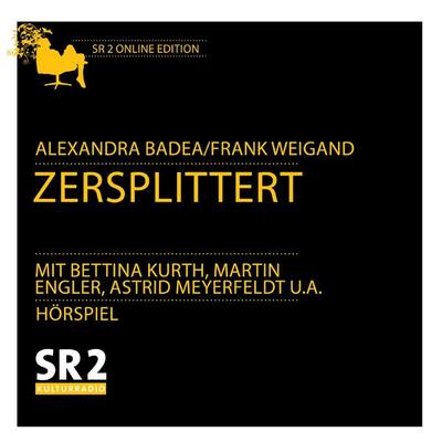 Zersplittert - Alexandra Badea, Audio, 9783956159558