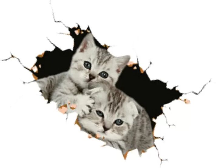 INF Kreative Auto 3D Stereo Zwei Kleine Katzen Aufkleber (2er-Pack)