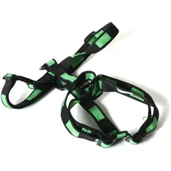 Martin Sellier Matrix (L, Hund, Allgemein, Spazieren), Halsband + Leine