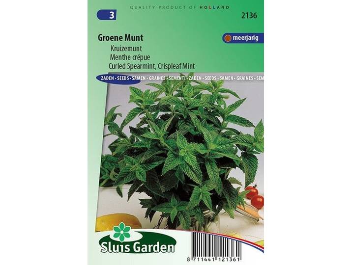 Groene Munt zaden Kruizemunt