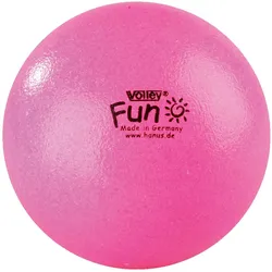 Volley, Volleybälle, (5)