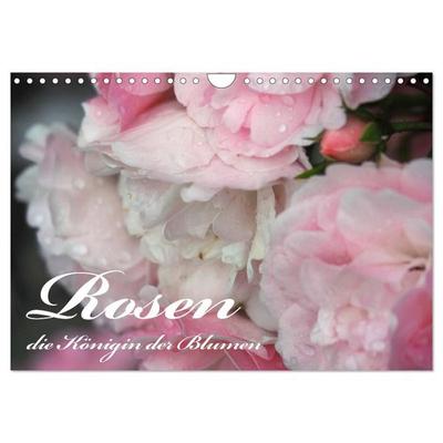 Rosen, die Königin der Blumen (Wandkalender 2027 DIN A4 quer), CALVENDO Monatskalender