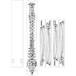 DYEDBRO Rahmenschutz Kit matt | black Bones