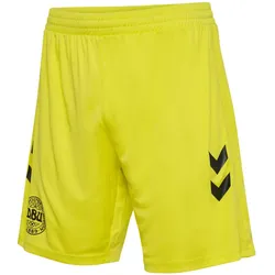 hummel DBU Dänemark Torwartshorts 2024 5269 - blazing yellow XXL