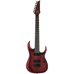 Ibanez RGD721FA-WUF - E-Gitarre