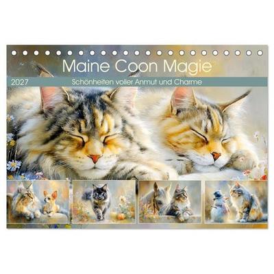 Maine Coon Magie. Schönheiten voller Anmut und Charme (Tischkalender 2027 DIN A5 quer), CALVENDO Monatskalender