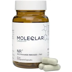 MoleQlar NR PRO (Nicotinamid Ribosid)