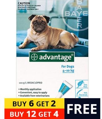 Bravecto Advantage Medium Dogs 11-20lbs (Aqua) 12 + 4 Free
