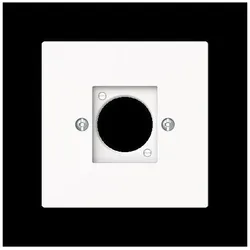 Busch-Jaeger Zentralscheibe XLR 2553-44M 2CKA001724A4449