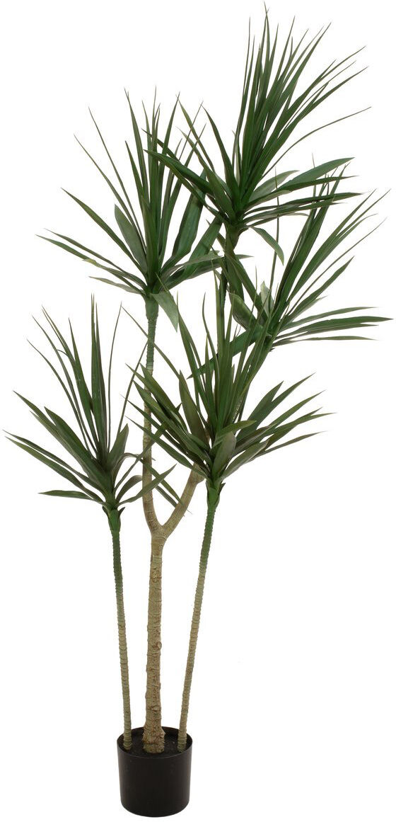Europalms Dracena, Kunstpflanze, Grün, 170cm