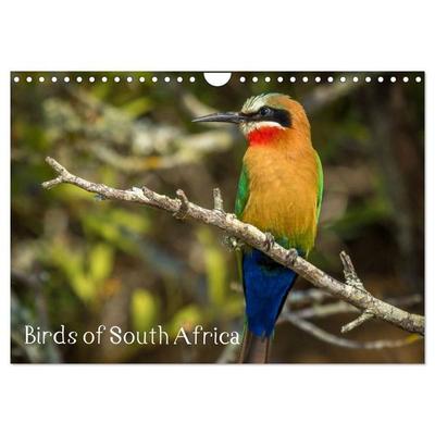 Birds of South Africa (Wall Calendar 2027 DIN A4 landscape), CALVENDO 12 Month Wall Calendar
