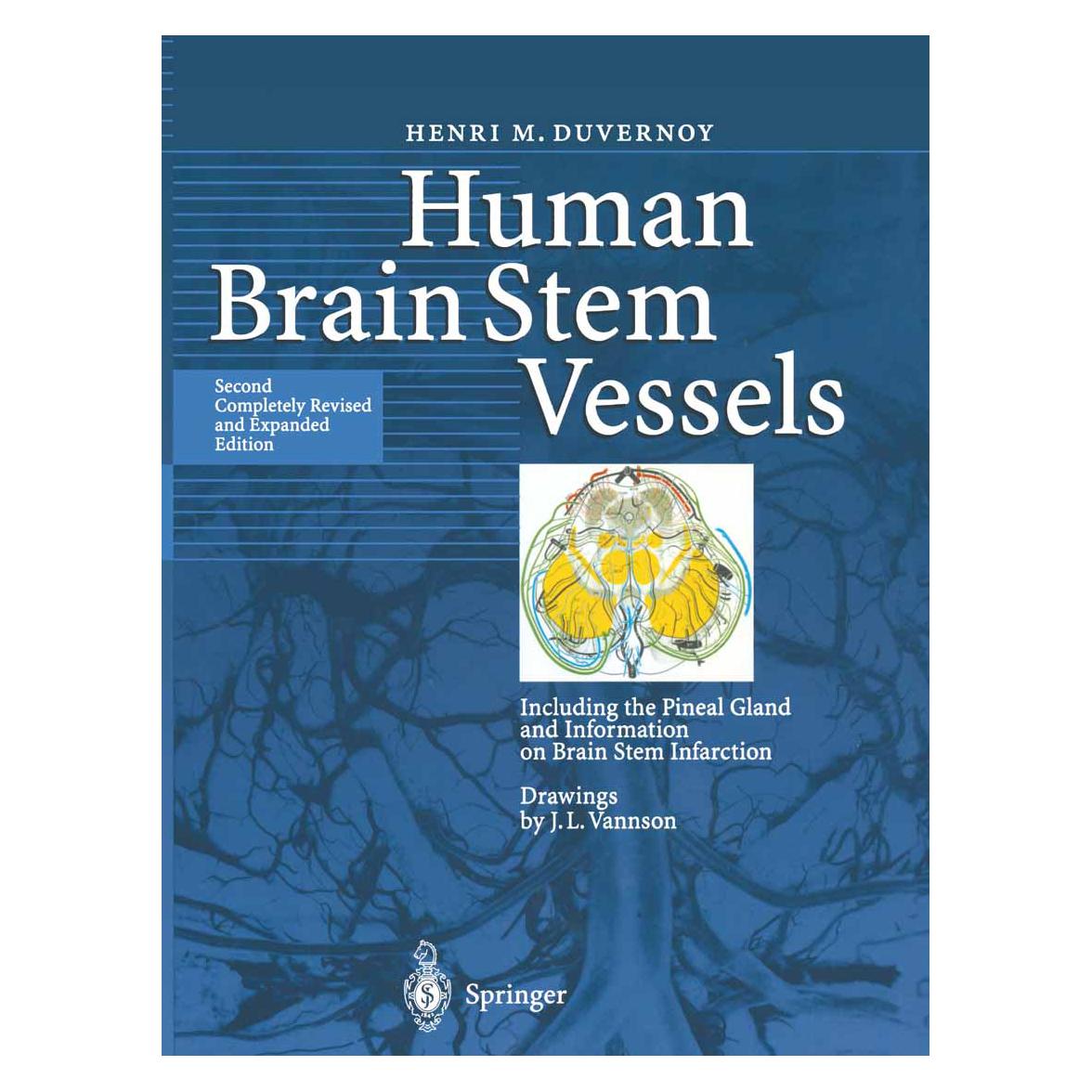 Springer Human Brain Stem Vessels (Englisch, Softcover, Henri M Duvernoy, Henri M. Duvernoy) (55376357)