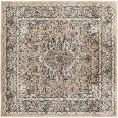 Nourison Concerto Classic Persian Medallion Area Rug.