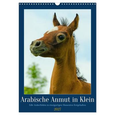 Arabische Anmut in Klein (Wandkalender 2027 DIN A3 hoch), CALVENDO Monatskalender