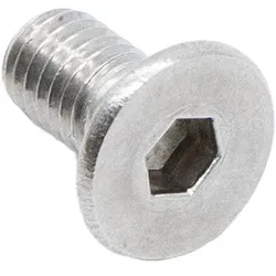 Dualtron Scharnierschrauben Edelstahl 10 Stk