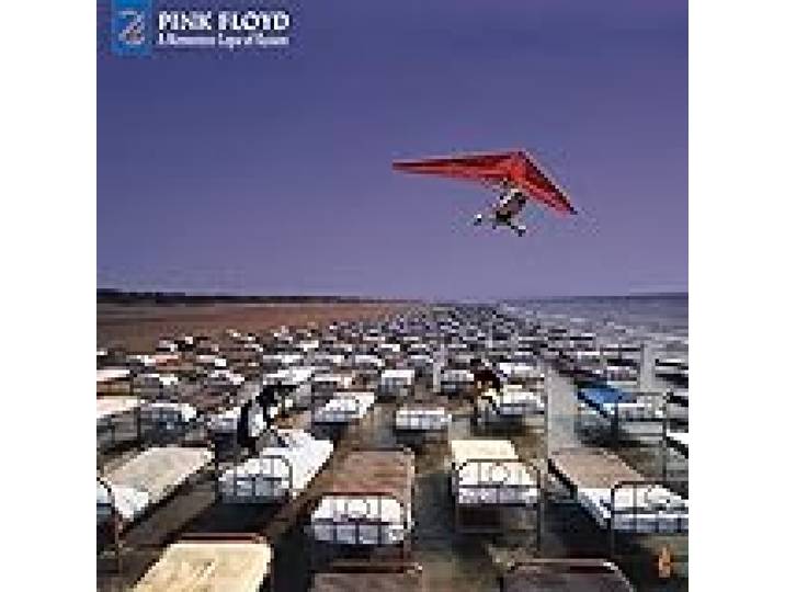 A Momentary Lapse Of Reason: Remixed & Updated [VINYL] [Vinyl LP]