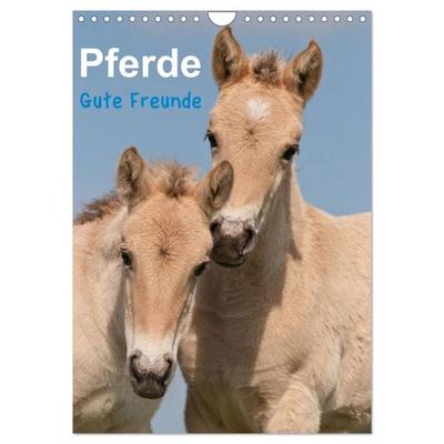 Pferde Gute Freunde (Wandkalender 2026 DIN A4 hoch), CALVENDO Monatskalender