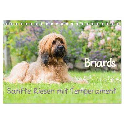 Briards - sanfte Riesen mit Temperament (Tischkalender 2027 DIN A5 quer), CALVENDO Monatskalender