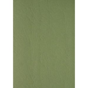 Clairefontaine Deckblätter 2703c Text & Cover, A4, Lederkarton, dunkelgrün, 270 g/m², 100 Stück