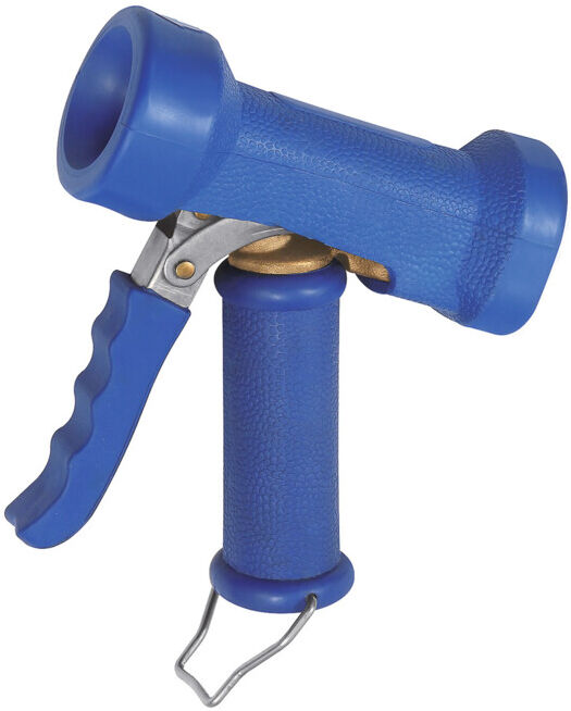Riegler Pistolet de nettoyage, Type: RP1 (130561)
