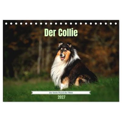 Der Collie der beste Hund der Welt (Tischkalender 2027 DIN A5 quer), CALVENDO Monatskalender